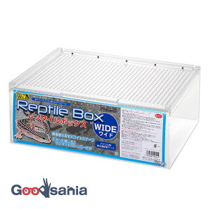 yz OW v^C{bNX Ch ( REPTI ZOO E221 ঒ P[W P[X ঒ގP[W )