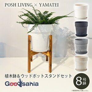yz POSH LIVING / YAMATEI yAؔX^hZbgz A[ovc|bg 8 / AJVA Ebh|bgX^h pr 26p ( |bVrO Aؔ X^h ؐ Zbg