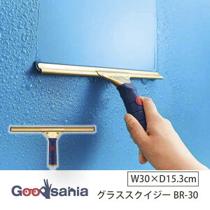 yz RY ؂胏Cp[ Pro-G OXXNCW[ BR-30 rvpB ^J 3.3×30×15.3cm ( ؂ ݂ XNCW[ Cp[ KXCp[ ݂胏Cp[ )