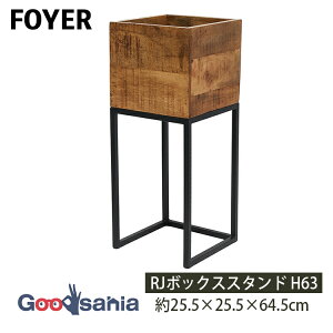 FOYER v^[X^h RJ{bNXX^h H63 25.5×25.5×64.5cm 3P00043 ( ԑ Jo[ Jo[X^h X^h {bNXX^h  A ϗtA A O[ K[fjO 