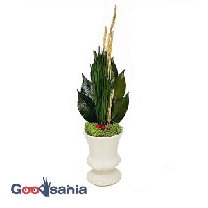 A&K r_ vU[uht[ Ԋt ̈t 5×8×18cm { O[^zCg KJM-001FV ( vU[uhO[ vU[uh  _I  RȐF )