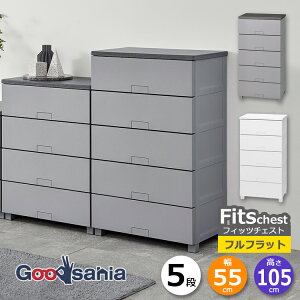 天馬 チェスト Fits フィッツチェスト フルフラット 5段 幅55cm 約55×41×105cm 5505 ( Fits収納 フィッツ タンス 衣類収納 収納家具 引き出し 脚付 )
