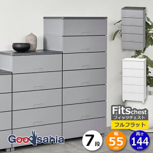 Vn `FXg Fits tBbc`FXg ttbg 7i 55cm 55×41×144cm 5507 ( Fits[ tBbc ^X ߗގ[ [Ƌ o rt )