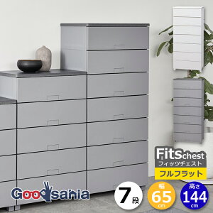 Vn `FXg Fits tBbc`FXg ttbg 7i 65cm 65×41×144cm 6507 ( Fits[ tBbc ^X ߗގ[ [Ƌ o rt )