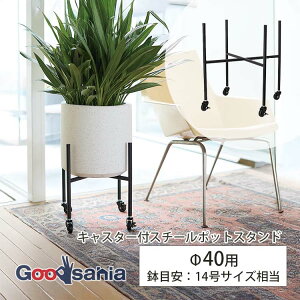 YAMATEI AؔX^h LX^[tX`[|bgX^h 40p 47×47×46cm AC-PTCK46E ( |bgX^h ACAX^h v^[X^h X^h LX^[ LX^[t )