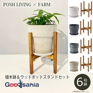 yz POSH LIVING / FARM yAؔX^hZbgz A[ovc|bg 6 / EbhX^h ~h pr 30 ( |bVrO Aؔ X^h ؐ Zbg  )