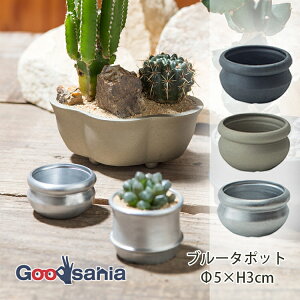 �|�b�V�����r���O �A�ؔ� �u���[�^�|�b�g ���5×H3cm �S3�F ( POSH LIVING �A�� �� ���A�� �v�����c�|�b�g �O���[���|�b�g �|�b�g �A���~ �A���~�j�E�� �K�[�f�j���O )
