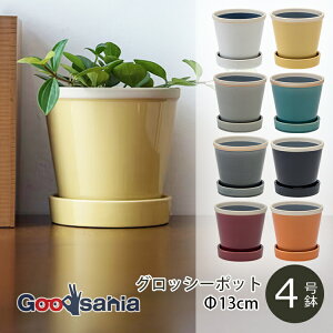 |bVrO Aؔ ObV[|bg 13×H12.5cm S8F ( POSH LIVING A  A vc|bg O[|bg |bg Z~bN O[ K[fjO )