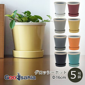 |bVrO Aؔ ObV[|bg 16×H17cm S8F ( POSH LIVING A  A vc|bg O[|bg |bg Z~bN O[ K[fjO )