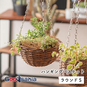 |bVrO Jo[ nMOoXPbg Eh S 16.5×H53.5(12)cm uE 11612 ( Aؔ Jo[ |bgJo[ oXPbg ݂艺 CeA  v^[ )