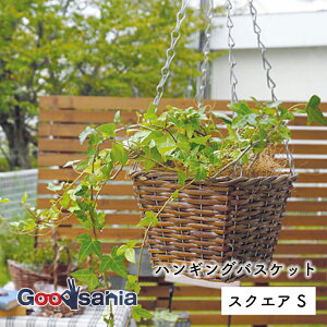 ポッシュリビング 鉢カバー ハンギングバスケット スクエア S 約W14.5×D14.5×H55.5(12)cm ブラウン 11614 ( 植木鉢 カバー ポットカバー バスケット 吊り下げ インテリア おしゃれ )