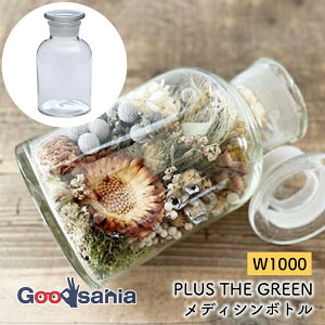 |bVrO r fBV{g 11×H19.5cm NA W1000 ( Ԃт т t[x[X KX Ɏq CeA   AW Ԋ  ͂ t[  )