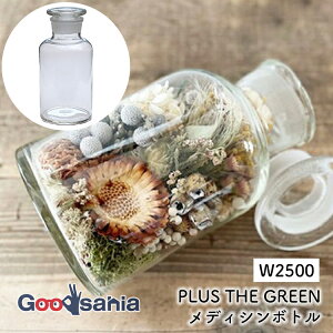 |bVrO r fBV{g 14.5×H30cm NA W2500 ( Ԃт т t[x[X KX Ɏq CeA   AW Ԋ  ͂ t[  )