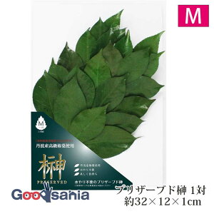 A&K  vU[uh MTCY  2{g { O[ LK-004M ( _Ip t 1  _ _Ipi _I dp _pi    Ւd _ _kd vU[uht[ 