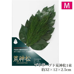 A&K r_ vU[uhr_ MTCY ꑩ { O[ LK-007JM ( _I _ d __I _d 㕧d Ւd _  vU[uht[ O  matsu  䏊 ΂̐_