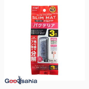 WFbNX oNeAX}bg 3N ( ߍ ptB^[ ANAE Ϗ܋ Mы   tB^[ p   tB^[ )