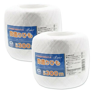 yz SƋ בЂ v[u 2Zbg zCg 300m ZK0165