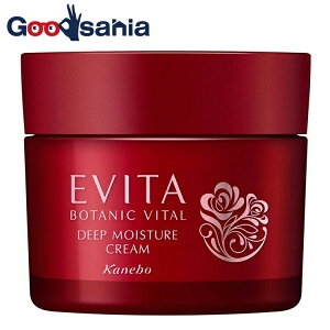 yz Gr[^ {^joC^ fB[vCX`[ N[ i`[Y̍ ێN[ 35g