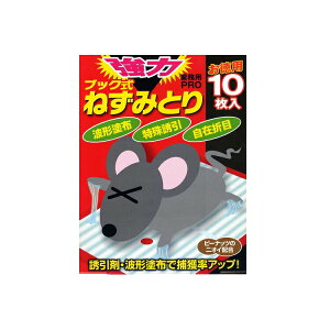 yz ˂ݔSV[g  ubN ˂݂Ƃ 10