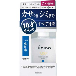 yz LUCIDO(V[h) p g[^PAϐ 110ml