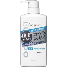 【送料無料】 LUCIDO(ルシード) 薬用デオドラントボディウォッシュ 450mL