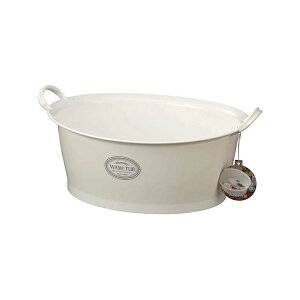 yz Cm}^w }~[EHbV^u t zCg 12L 3113 ( C  u C Xj[J[ q  Ԃ V    tbgoX oX^u )