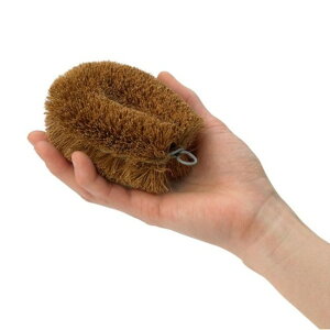 yz T̎qqX T̎q킵 킵 T̎qq1 uE 8×10×5cm ( 킵 ^V    Lb` 䏊  StCp 􂢕  )