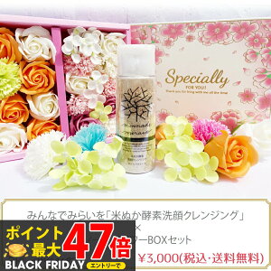 ݂Ȃł݂炢 Y Ăʂyf NWO 70g \[vt[BOXZbg v[g Mtg 蕨 Ԃ̐Ό ͂Ȃ ̓ o[Xf[v[g av[g L