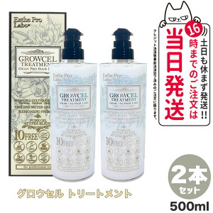 �y2�{�Z�b�g�z�G�X�e�v�����{ �O���E�Z���g���[�g�����g 500ml �����g���[�g�����g ���ϕi ���e �w�A�P�A ���{�� Esthe pro labo �v�����{�z�[���f�B���O�X