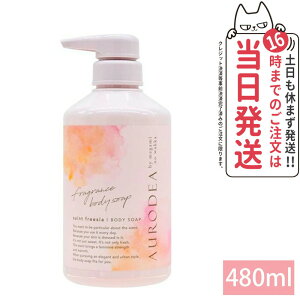 AURODEA AEfBA tOX {fB\[v ZCgt[WA 480ml t[WA̍ [ AR q ] 4 r^~ by megami no wakka Ό  {fBEHbV { ێ 