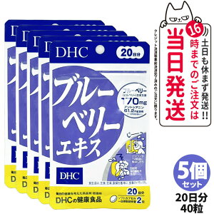 5Zbgyܖ2027NzDHC fB[GC`V[ u[x[GLX 20 40 Tvg NHi h{@\Hi NTv eTv N }`Tv 5 