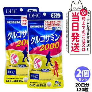 �y2�Z�b�g �ܖ�����2028/04�z�f�B�[�G�C�`�V�[ DHC �O���R�T�~�� 2000 20���� 120�� �A�N�e�B�u �T�v�������g ��������