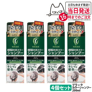 利尻カラーシャンプー ブラック」の人気商品一覧・価格比較 - 価格.com
