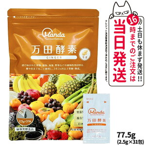 yKizcyf y[Xg^Cv WW[ GINGER  2.5g×31 77.5g RyHi Ay yfTv NHi Tvg 1/2/3/5Zbg yHi  ʕ  C 