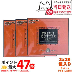 y3ZbgEܖ2027/01zGXev{ gvJb^[ v 90gi3g×30j_CGbgTvg J[Jbg   Y  e hbOXgA Ki 