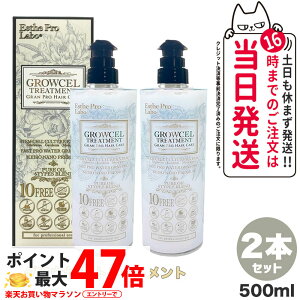 �y2�{�Z�b�g�z�G�X�e�v�����{ �O���E�Z���g���[�g�����g 500ml �����g���[�g�����g ���ϕi ���e �w�A�P�A ���{�� Esthe pro labo �v�����{�z�[���f�B���O�X