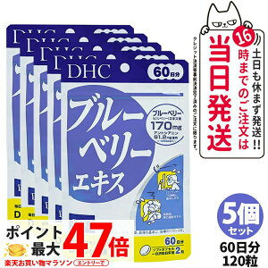 5Zbgyܖ2027NzDHC fB[GC`V[ u[x[GLX 60 120 Tvg NHi h{@\Hi NTv eTv N }`Tv 5 