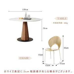 y5Nۏ؁zygݒuLz_CjOZbg 3_Zbg  Z~bNe[u Z~bNV He[u e[u zCg rOe[u 80/100/120cm 4lp ֎q `FA 4r 5_Zb