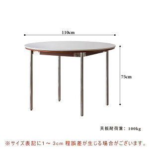 y5Nۏ؁z_CjOe[u ۃe[u 110cm ~` e[û 3l| ی` ~^ Vv 4l|p   zCg H k AeB[N JtF ی^ e[uPi