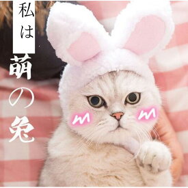 【今日だけ！5と0のつく日！】 ペット用品 帽子 ペット 猫用変身ほっかむり うさぎ コスプレ かぶりもの 仮装 猫用 ペット用キャップ 仮装パーティー 大変身 ハロウィン 被り物