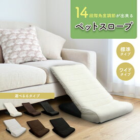 ペットスロープ ドッグステップ 14段階 角度 ステップ スロープ ペット 犬 ドッグスロープ 犬 高齢 階段 踏み台 スロープ ソファー ペットステップ 段差補助 段差 介護 小型犬 高齢犬 シニア犬 折りたたみ ソファ ベッド 昇降 コンパクト 角度調整 段差補助 老犬