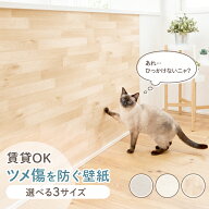 猫 つめ傷 保護 壁紙 賃貸OK 爪研ぎ ひっかく 爪とぎ 防止 とぐ はがせる 壁紙 ボロボロ 対策 ドア 扉 傷…