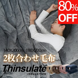 ★在庫一掃80%OFF★ 毛布 2枚合わせ 厚手 あったか 冬 シンサレート シングル ダブル 140×200cm 180×200cm 毛布布団 ボリューム 洗える 綿入り 冬用 抗菌防臭 リバーシブル 静電気防止 高密度 毛布 もうふ あたたかい 掛け布団毛布