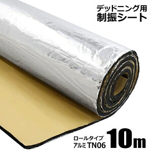fbhjOV[g UV[g 1m×10m TN06 ʍu` A~H hU h z St J[I[fBỈ
