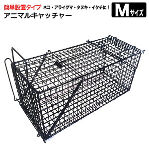 犬 猫よけ 猫よけの人気商品 通販 価格比較 価格 Com
