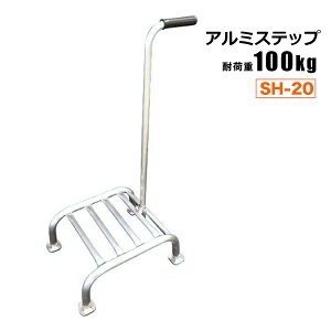 A~Xebv ݑ SH-20 A~ 肷t ʎI n VZC[J[ @l{