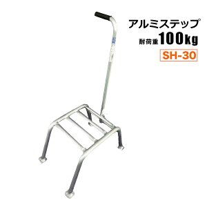 A~Xebv ݑ SH-30 A~ 肷t ʎI n VZC[J[ @l{