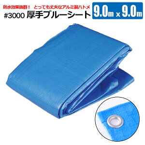 u[V[g #3000 9.0×9.0m  h W[ { VZC [J[