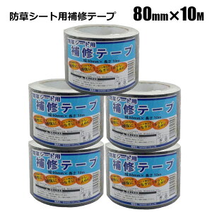 hV[gp Ce[v 80mm×10m 5{g VZC[J[