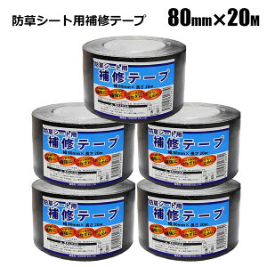 hV[gp Ce[v 80mm×20m 5{g VZC[J[